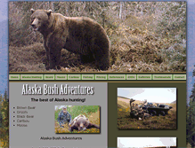 Tablet Screenshot of alaskabushadventures.com